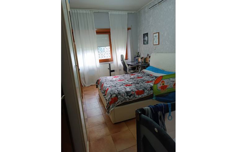 appartamento in affitto a Grottaferrata