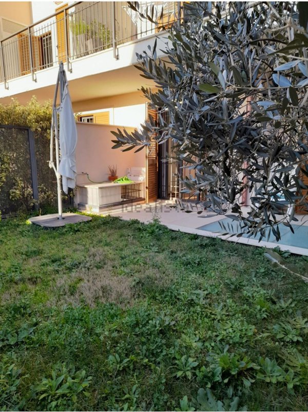 appartamento in affitto a Grottaferrata