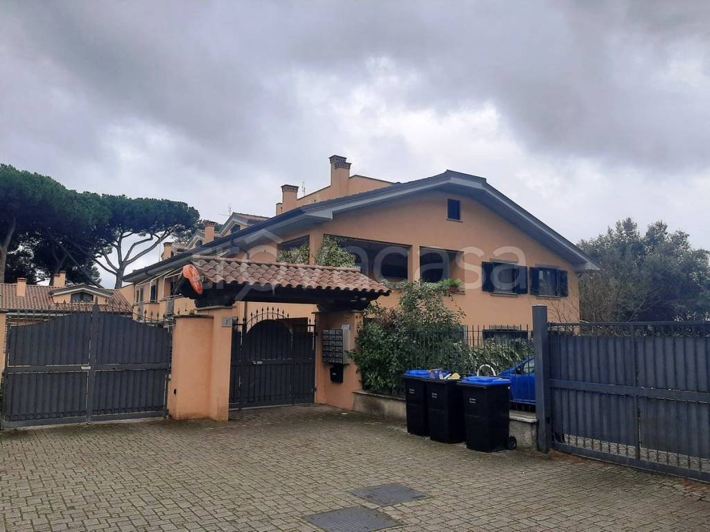 appartamento in affitto a Grottaferrata