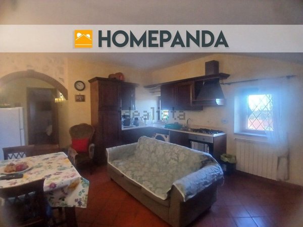 appartamento in affitto a Grottaferrata