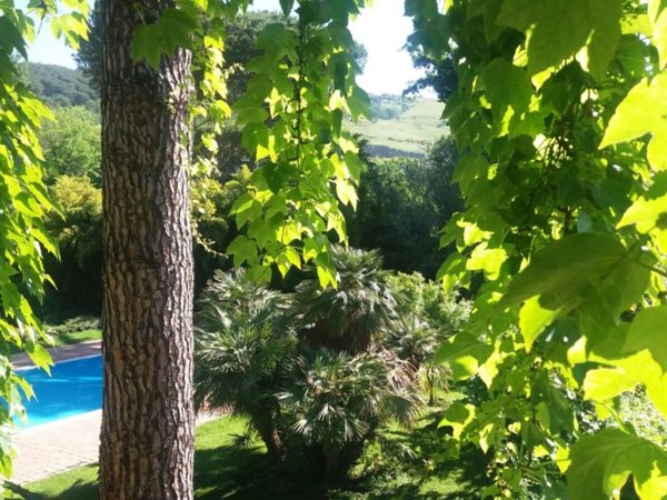 appartamento in affitto a Grottaferrata in zona Molara