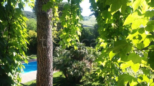 appartamento in affitto a Grottaferrata