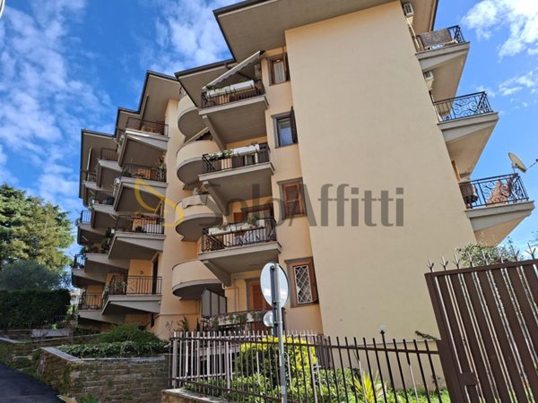 appartamento in affitto a Grottaferrata