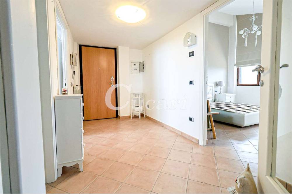 appartamento in affitto a Grottaferrata