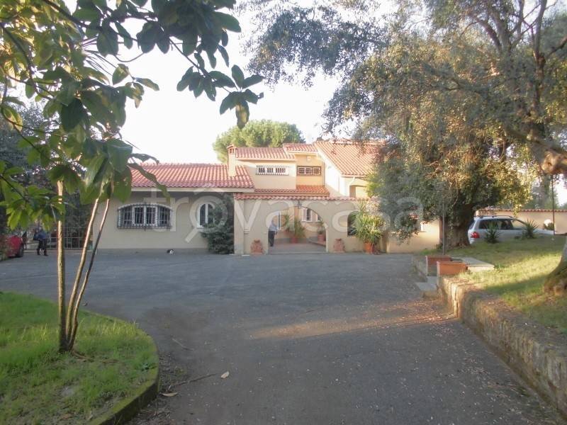 appartamento in affitto a Grottaferrata