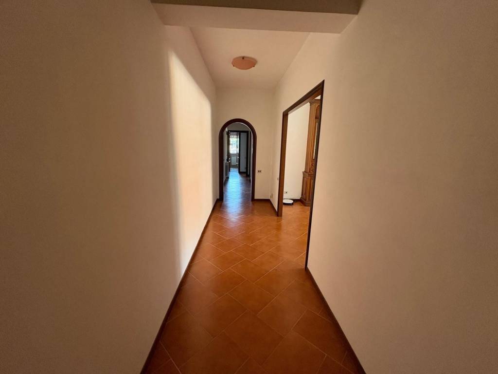 appartamento in affitto a Grottaferrata