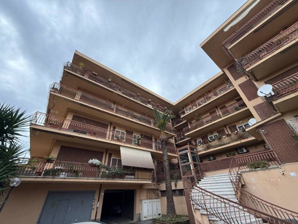 appartamento in affitto a Grottaferrata