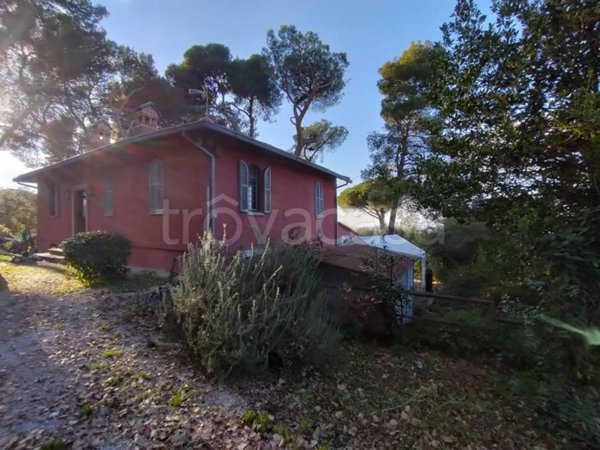 appartamento in affitto a Grottaferrata