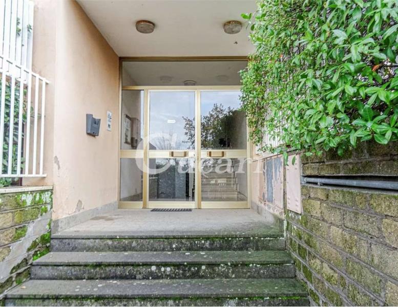 appartamento in affitto a Grottaferrata