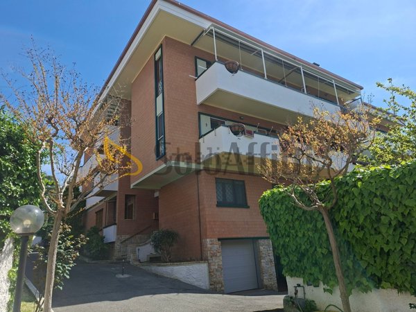 appartamento in affitto a Grottaferrata