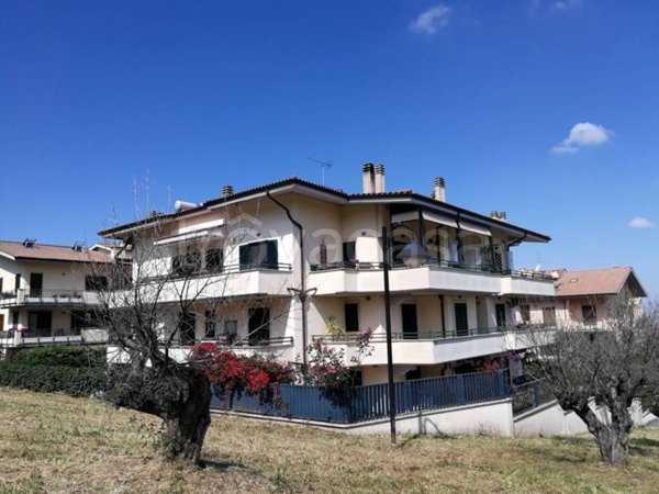 appartamento in affitto a Grottaferrata