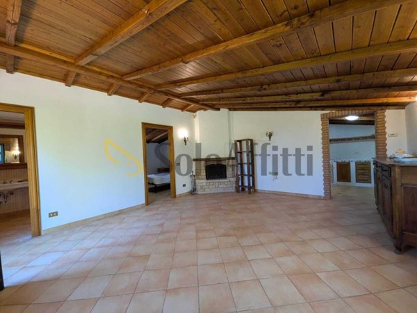 appartamento in affitto a Grottaferrata