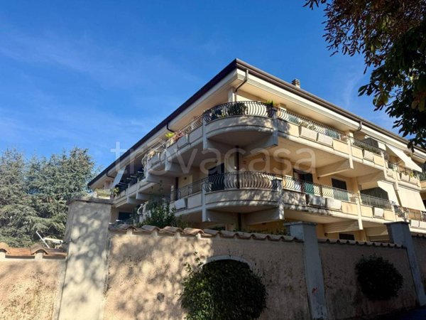 appartamento in affitto a Grottaferrata