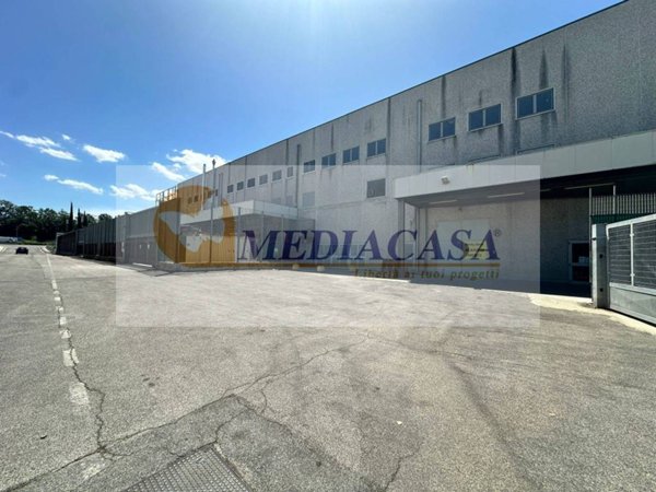 ufficio in affitto a Guidonia Montecelio in zona Villalba