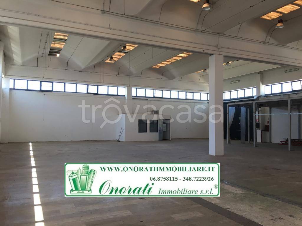 capannone in affitto a Guidonia Montecelio in zona Setteville