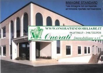 capannone in affitto a Guidonia Montecelio