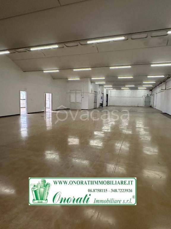 locale di sgombero in affitto a Guidonia Montecelio in zona Guidonia