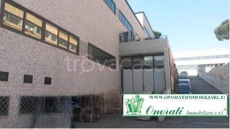 capannone in affitto a Guidonia Montecelio in zona Guidonia