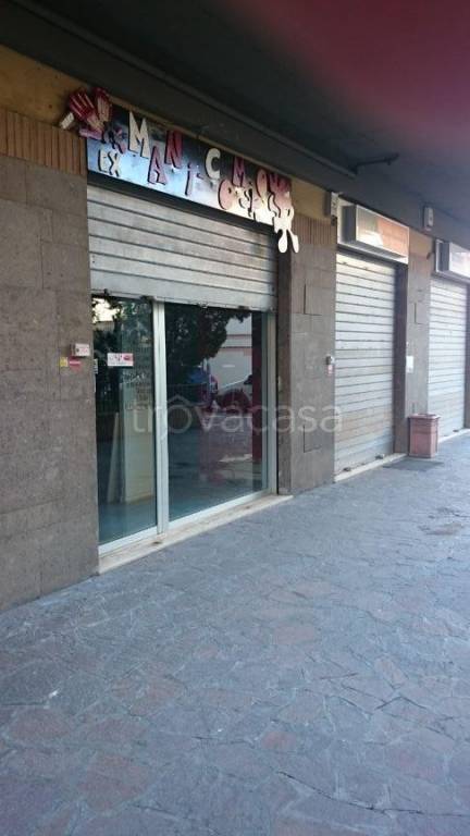 negozio in affitto a Guidonia Montecelio in zona Setteville