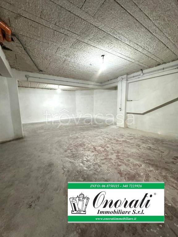 esavano in affitto a Guidonia Montecelio in zona Villanova