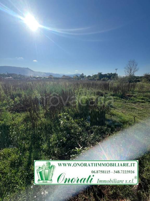 terreno agricolo in affitto a Guidonia Montecelio