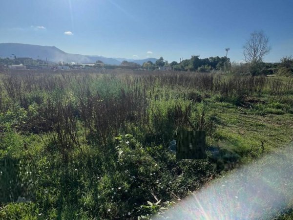 terreno agricolo in affitto a Guidonia Montecelio