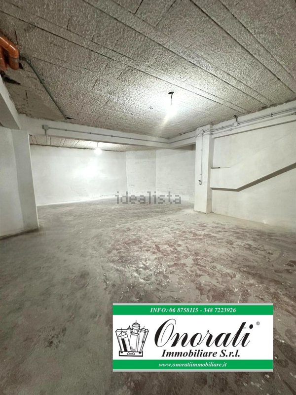 esavano in affitto a Guidonia Montecelio in zona Villanova