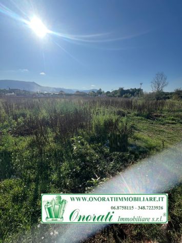 terreno agricolo in affitto a Guidonia Montecelio