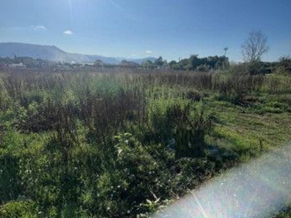 terreno agricolo in affitto a Guidonia Montecelio