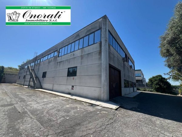 capannone in affitto a Guidonia Montecelio