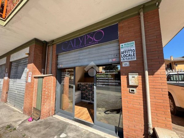 negozio in affitto a Lanuvio