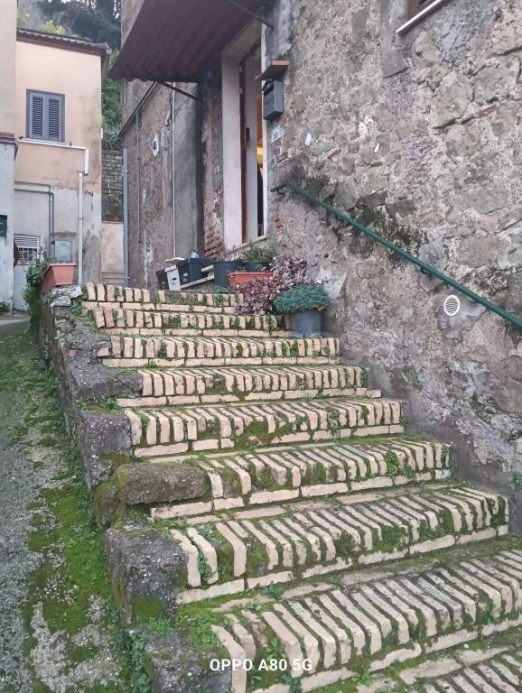 appartamento in affitto a Lanuvio