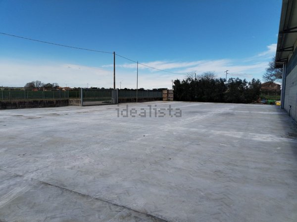 capannone in affitto a Lanuvio