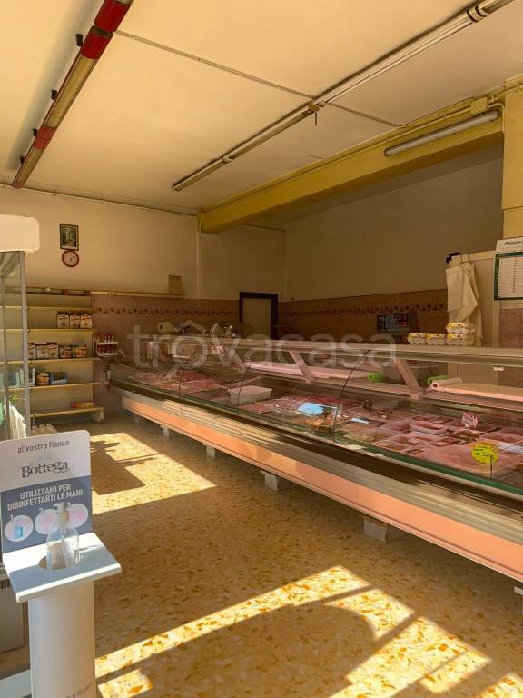 negozio in affitto a Lanuvio