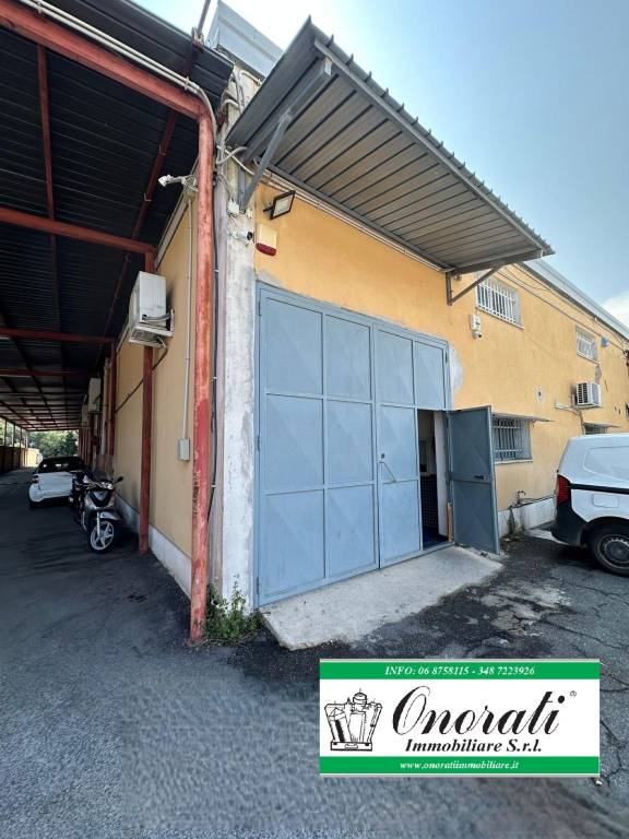 appartamento in affitto a Licenza