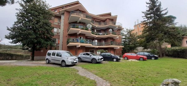 appartamento in affitto a Marino