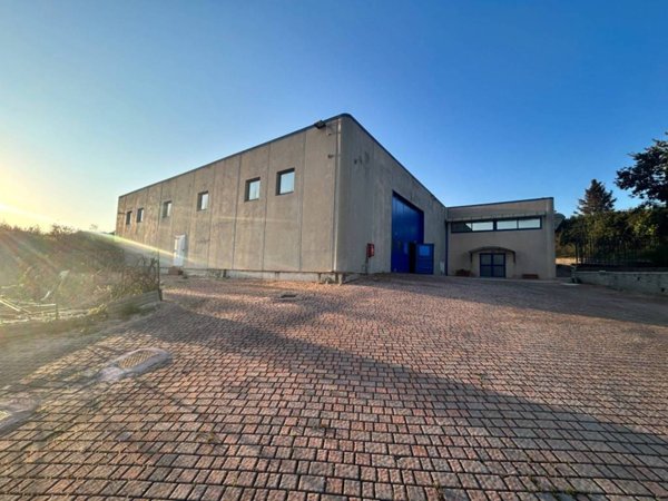 locale commerciale in affitto a Marino