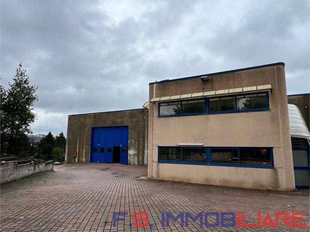 locale commerciale in affitto a Marino