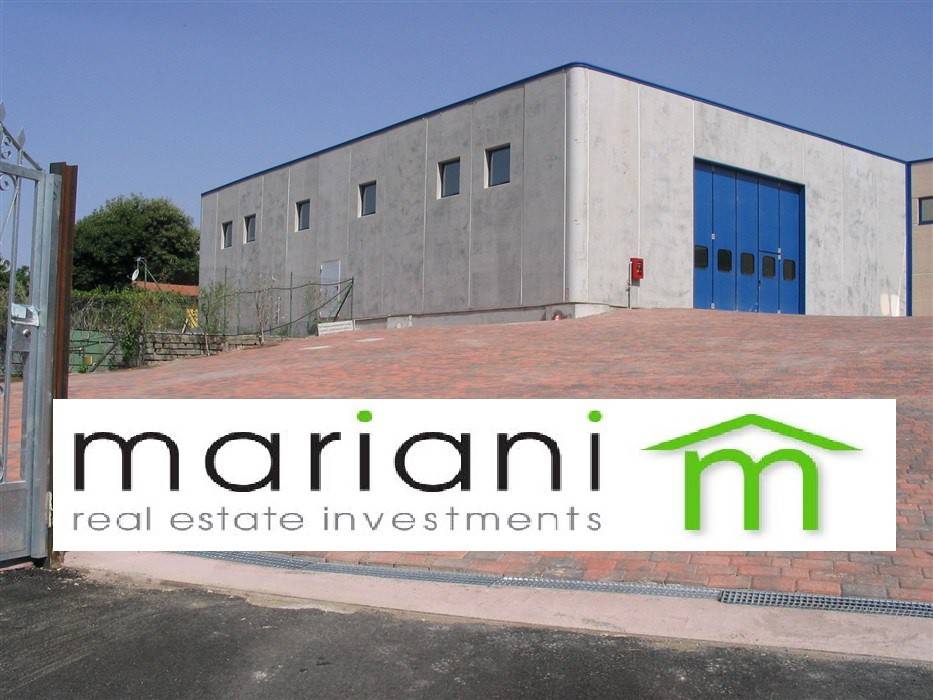 locale commerciale in affitto a Marino in zona Cava dei Selci