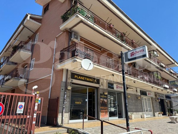 appartamento in affitto a Marino in zona Santa Maria delle Mole