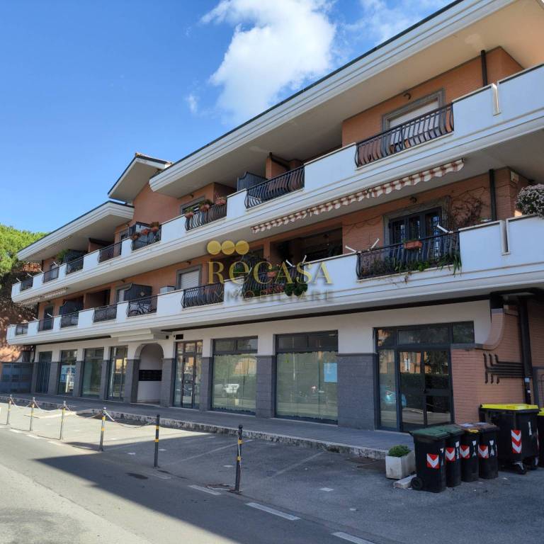 appartamento in affitto a Marino in zona Santa Maria delle Mole