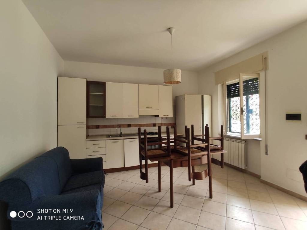appartamento in affitto a Marino in zona Castelluccia