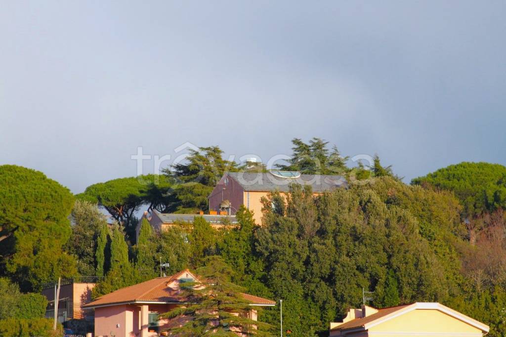 casa indipendente in affitto a Marino