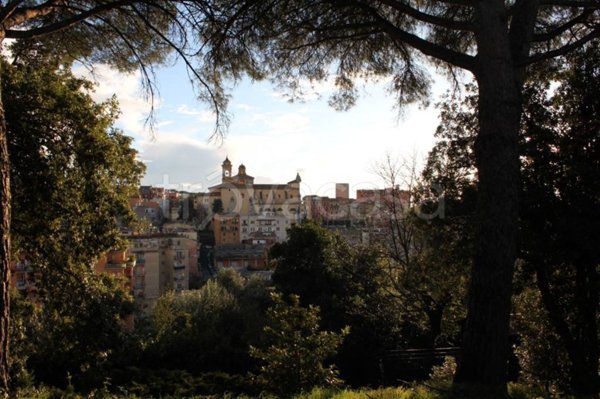 casa indipendente in affitto a Marino