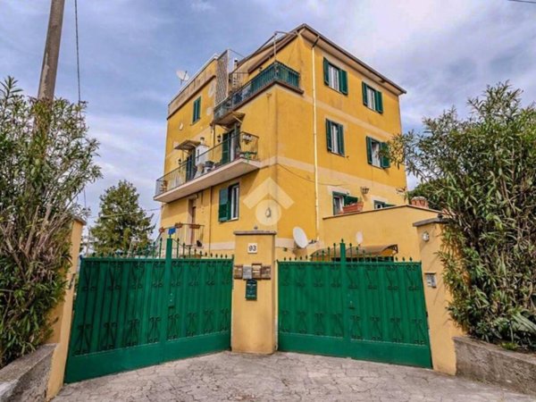 appartamento in affitto a Marino