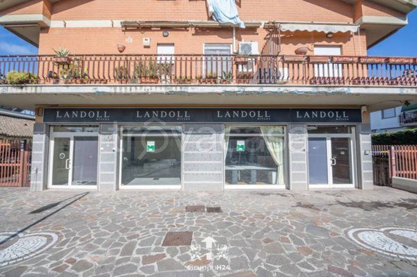 appartamento in affitto a Marino in zona Santa Maria delle Mole