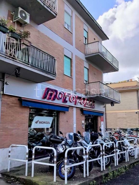 appartamento in affitto a Marino in zona Poggio delle Mole