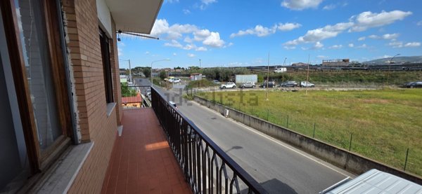 appartamento in affitto a Marino