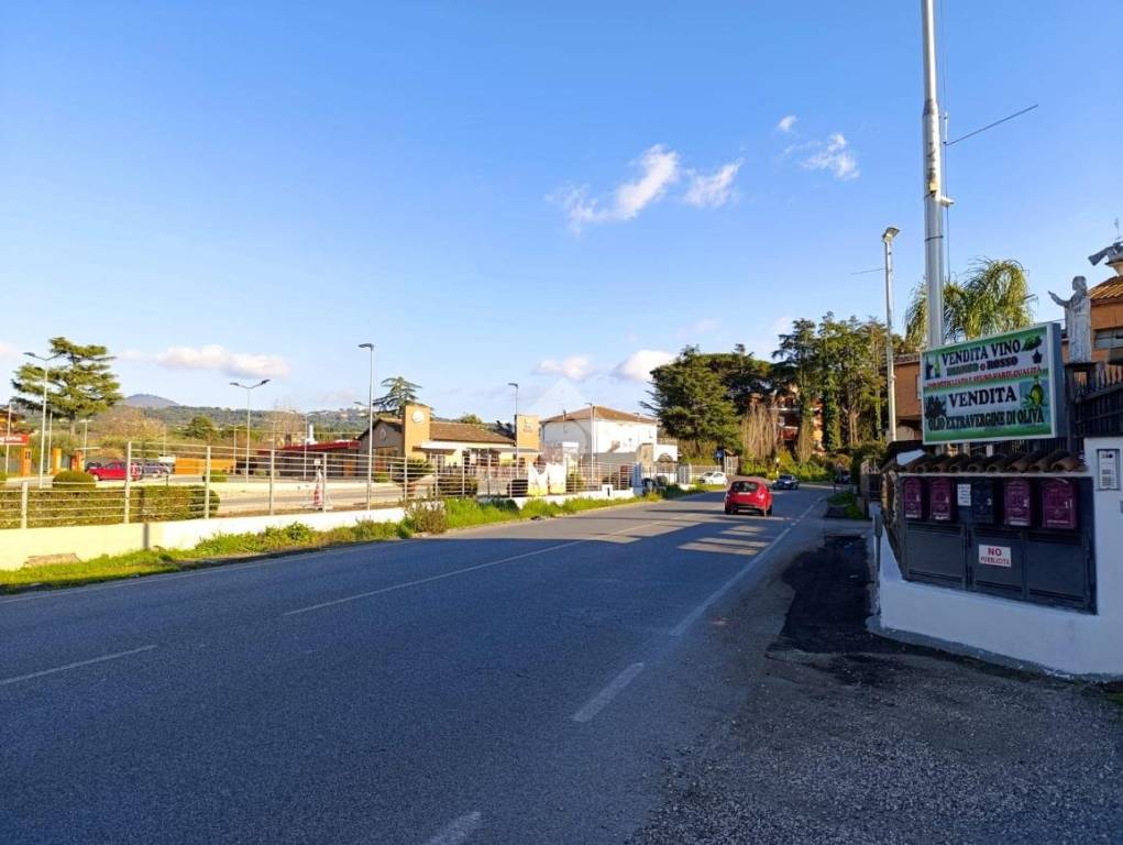 locale commerciale in affitto a Marino in zona Castelluccia