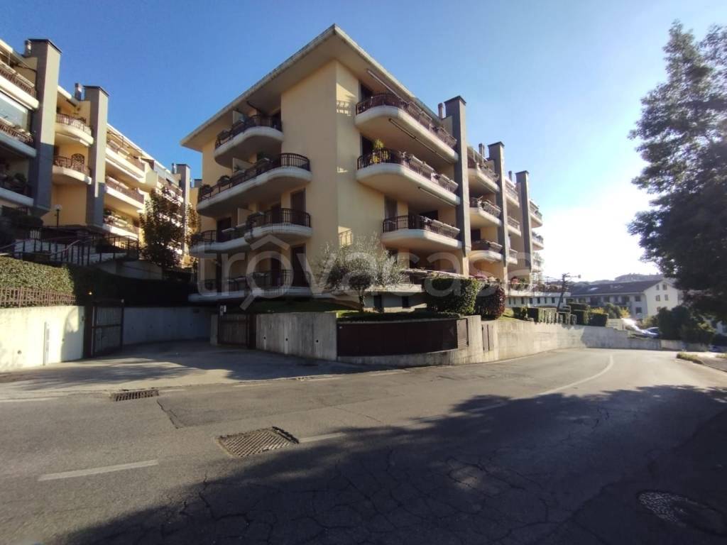 appartamento in affitto a Marino